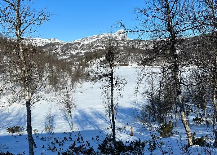 Hjemmekoselig Med Fantastisk Utsikt * Beitostolen